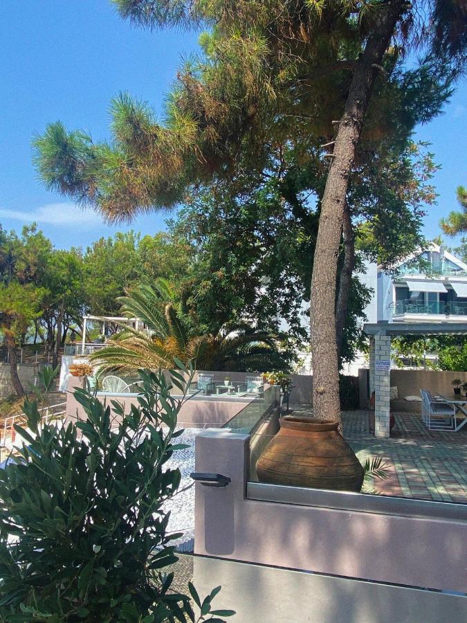 Ktima Papaoikonomou 2 Appartement Potos Buitenkant foto