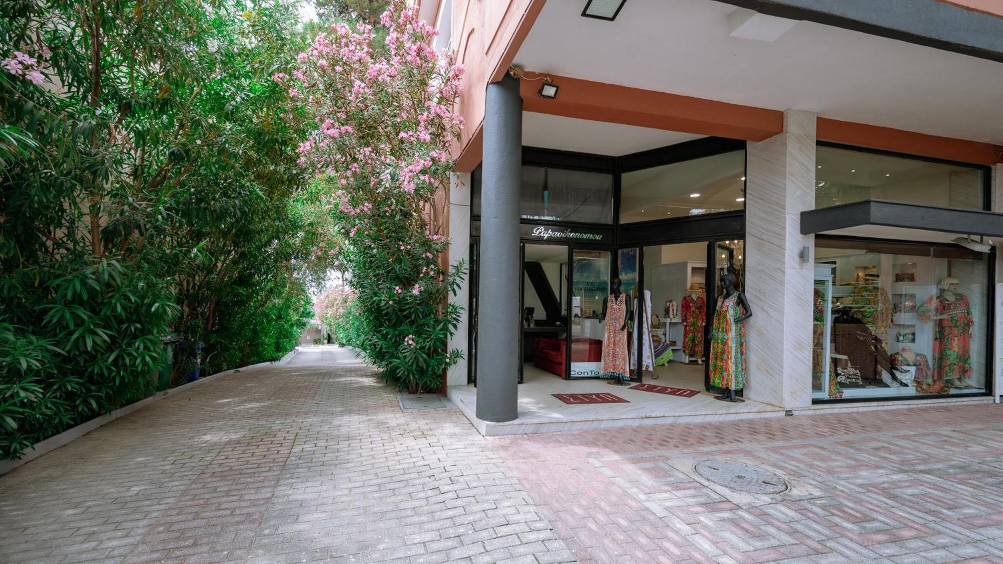 Ktima Papaoikonomou 2 Appartement Potos Buitenkant foto